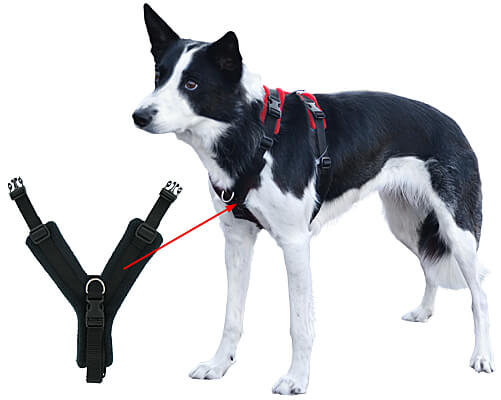 Perfect harness for dogs hotsell